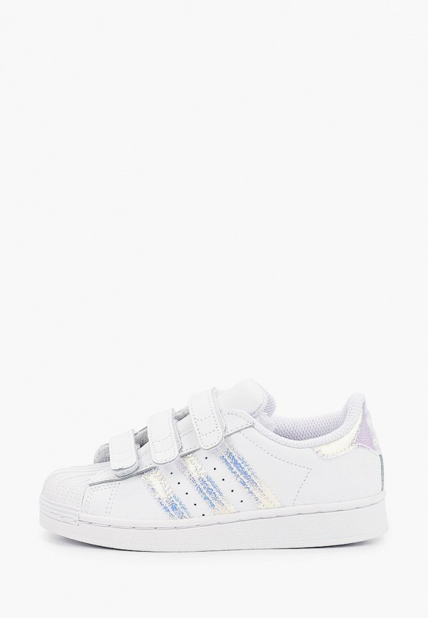 adidas Originals Кеды - SUPERSTAR CF C - фото 1
