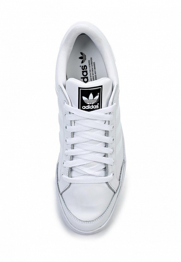 adidas Originals Кеды - PLIMCANA CLEAN LOW - фото 4