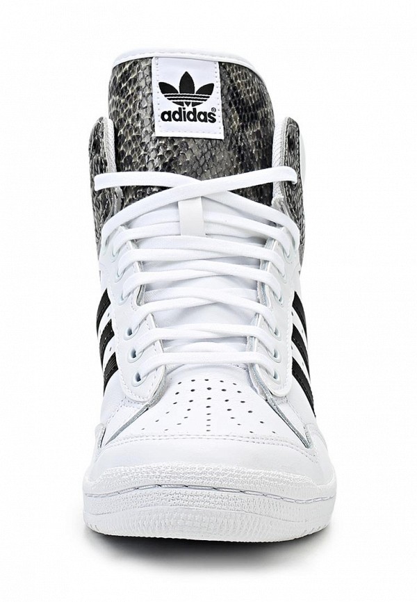 adidas Originals Кроссовки - PRO CONFERENCE HI W - фото 4