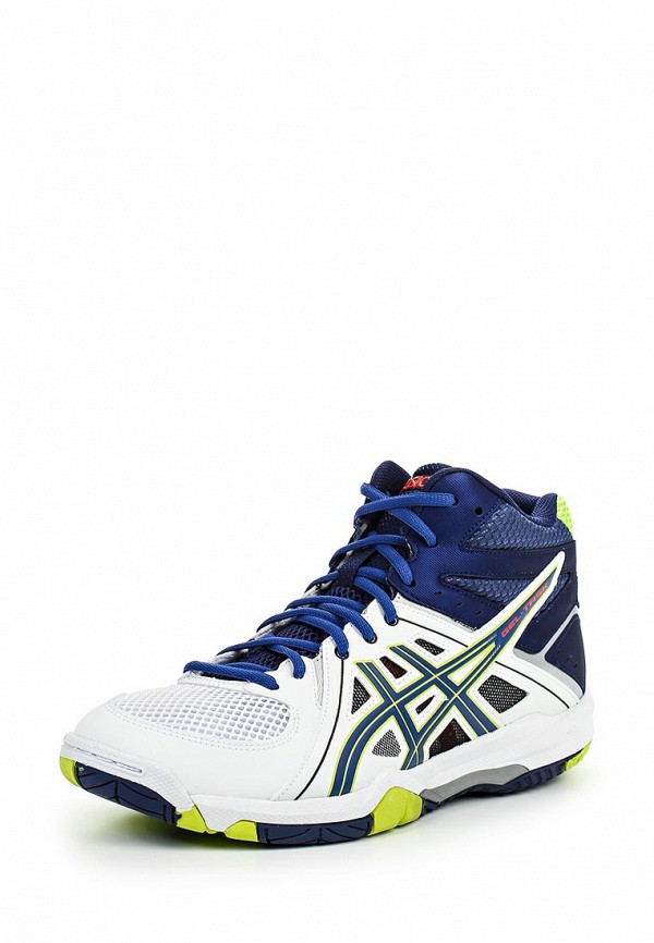 Asic 2024 gel task