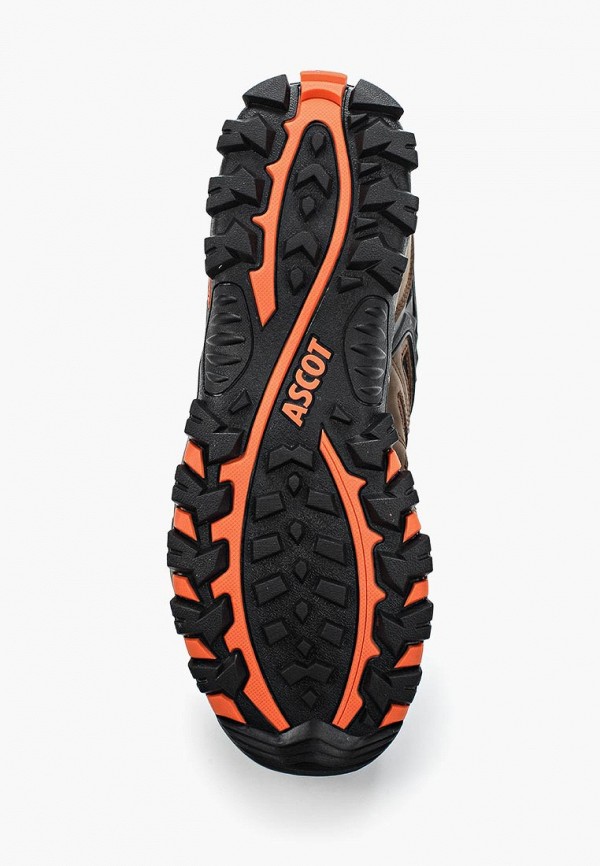 Кроссовки ascot vortex