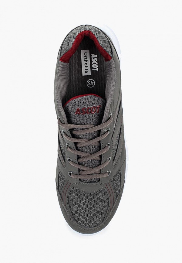 Ascot Кроссовки - фото 4