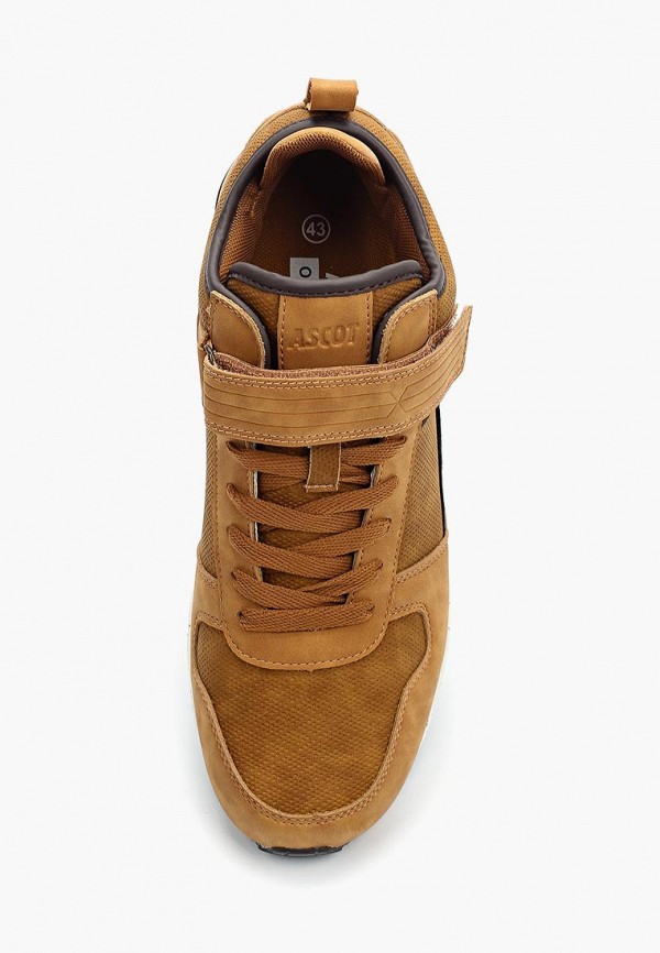 Ascot Кроссовки - фото 4