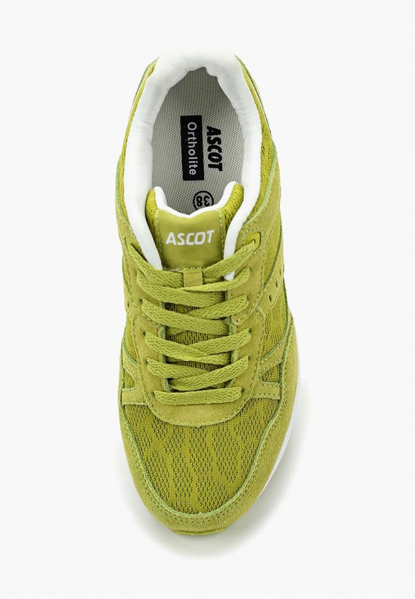 Ascot Кроссовки - фото 4