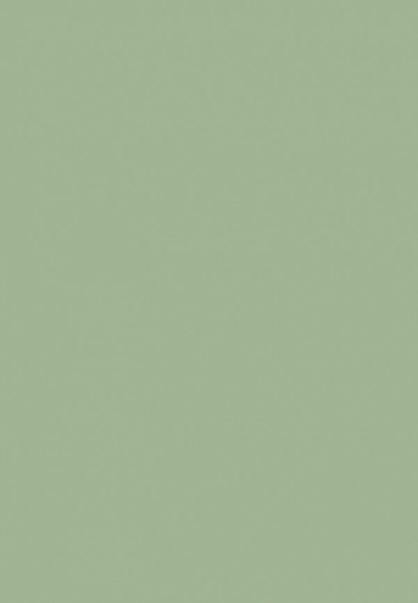 Erborian Спонж-конняку для очищения лица - с зеленым чаем - фото 2