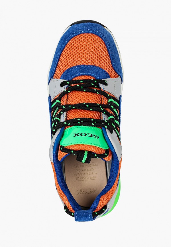 Geox Кроссовки - фото 4