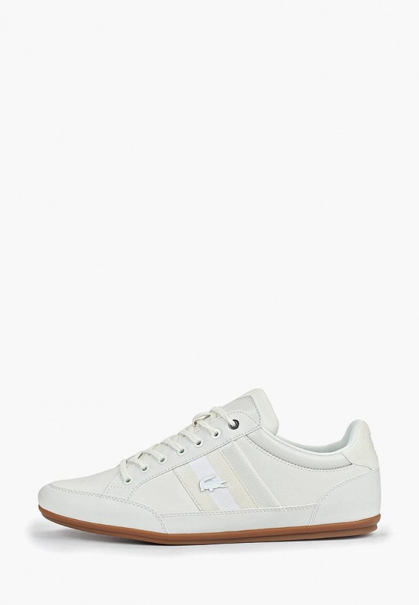 lacoste chaymon 119