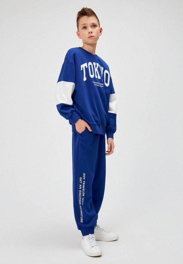 Acoola Брюки спортивные - фото 4