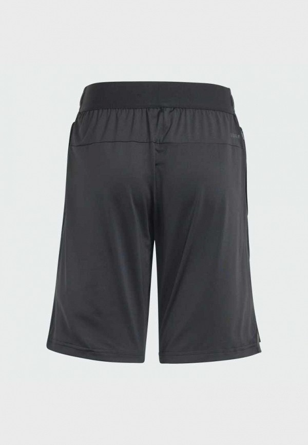 adidas Шорты спортивные - Training AEROREADY - фото 2