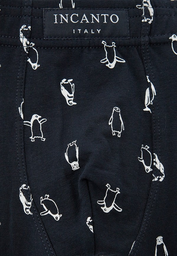 Incanto Трусы 2 шт. - фото 3