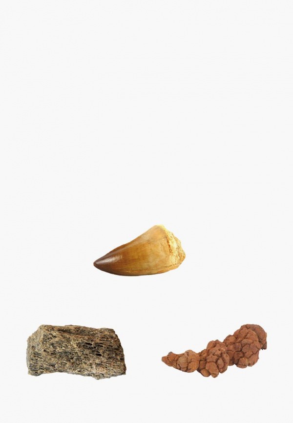 Росмэн Набор игровой - Изучаем динозавров. TM National Geographic - фото 2