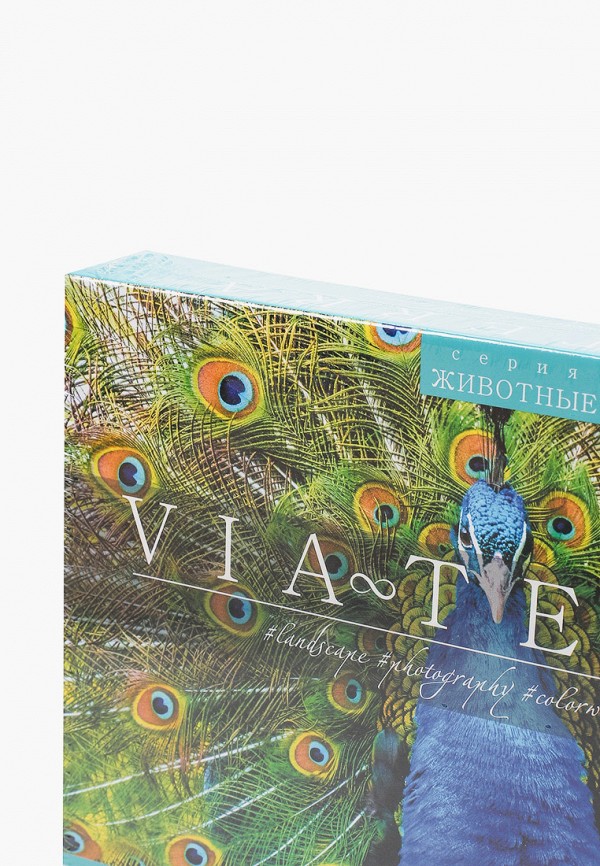 Origami Пазл - "Пестрый павлин" 1000 эл-ов Виа Терра - фото 2