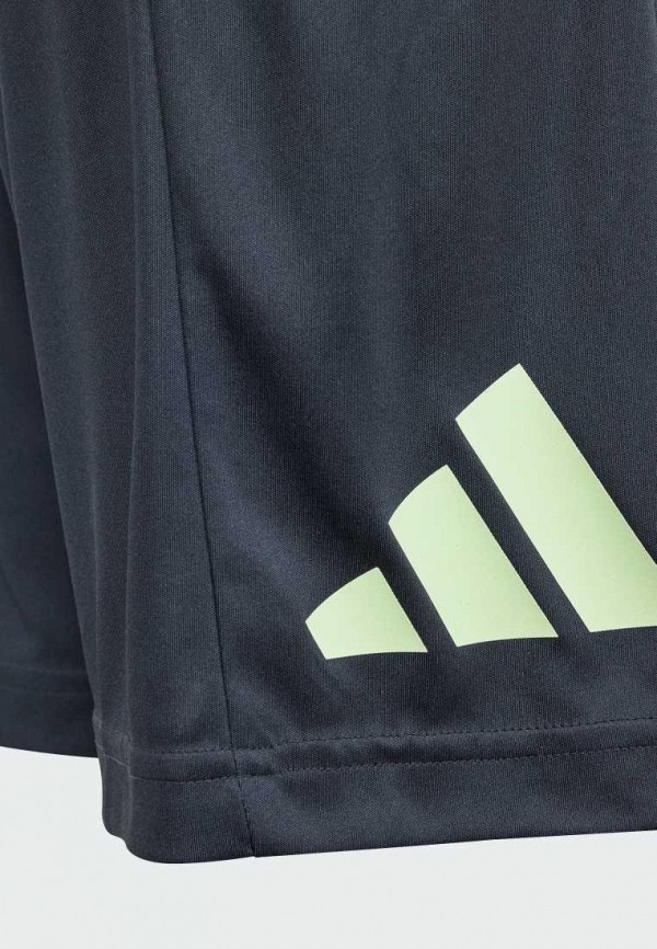 adidas Шорты спортивные - Train Essentials AEROREADY Logo Regular-Fit - фото 4