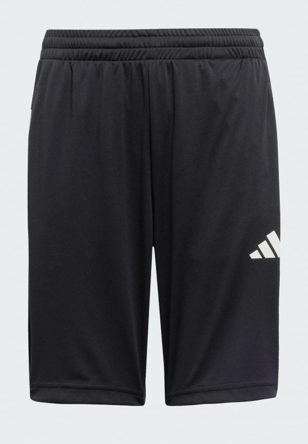 adidas Шорты спортивные - Train Essentials 3-Stripes - фото 6