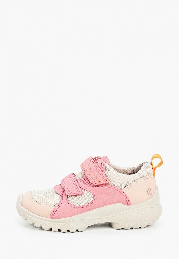 ecco xperfection