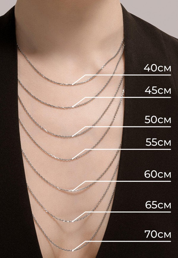 Sokolov Цепь - фото 2