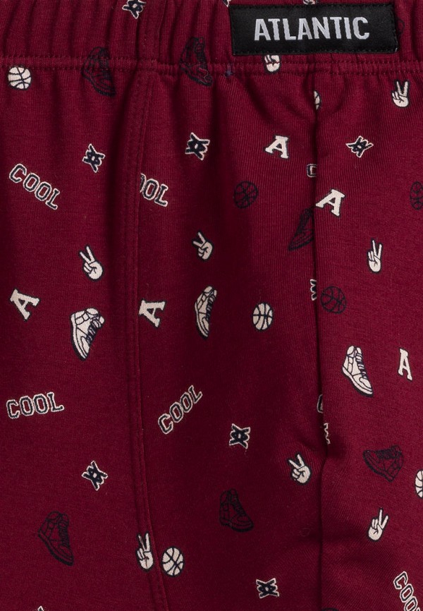 Atlantic Трусы 3 шт. - COOL - фото 4