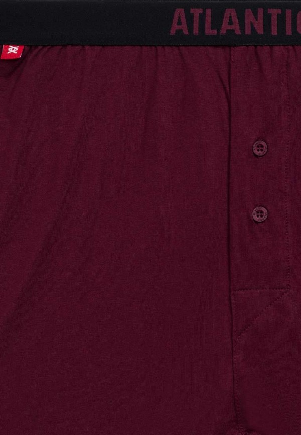 Atlantic Трусы 2 шт. - SOLID - фото 4