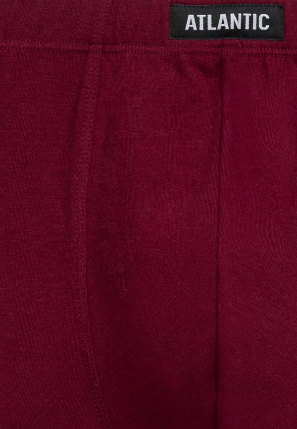 Atlantic Трусы 3 шт. - BEAR - фото 3