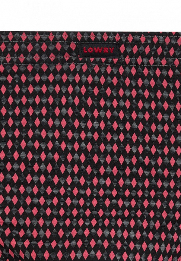 Lowry Collection Трусы 2 шт. - фото 3