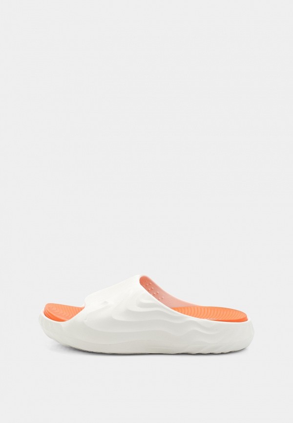 T.Taccardi Сланцы - фото 1