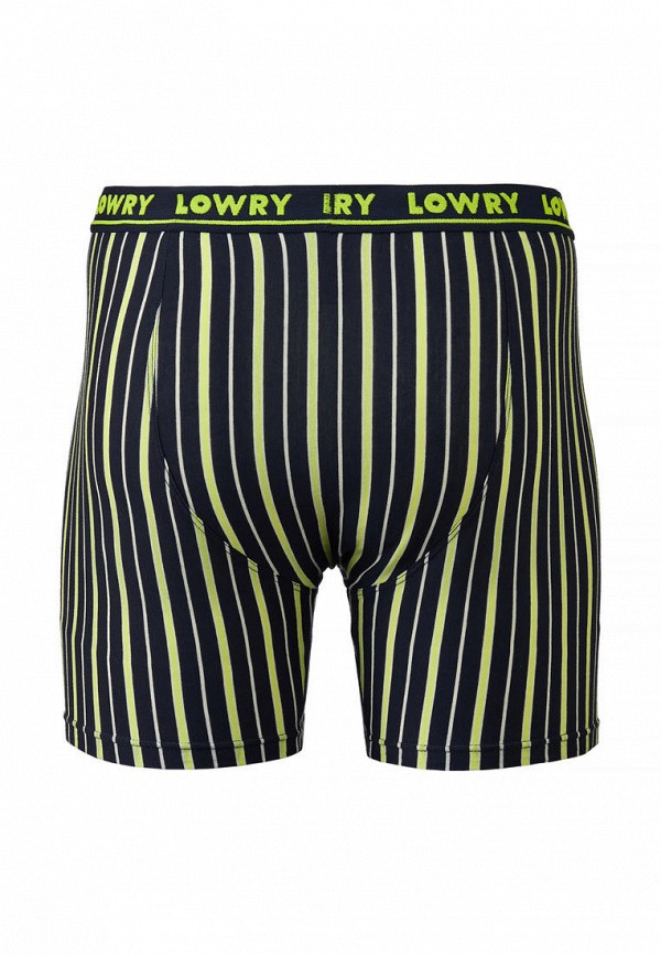 Lowry Collection Трусы - фото 2