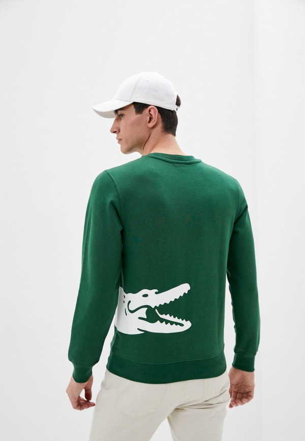 Толстовка lacoste с большим крокодилом. Lacoste sport plus logo crew neck sweat. Свитер лакосте с крокодилом. Лакосте свитшот мужской. Свитер лакосте с крокодилом.