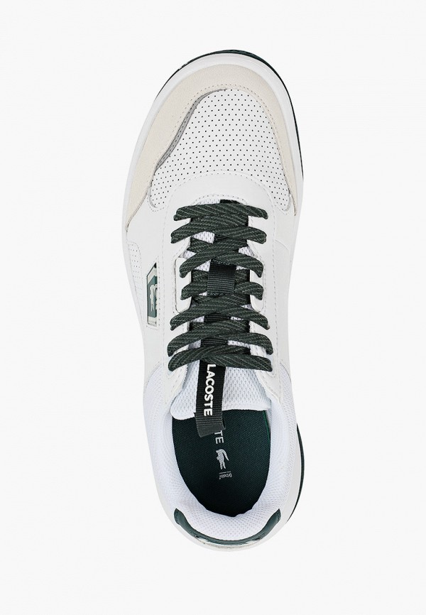 lacoste ace