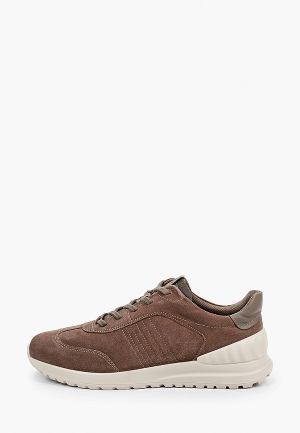 ecco astir lite