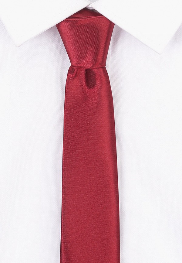 Ir.Lush Галстук и платок - фото 3