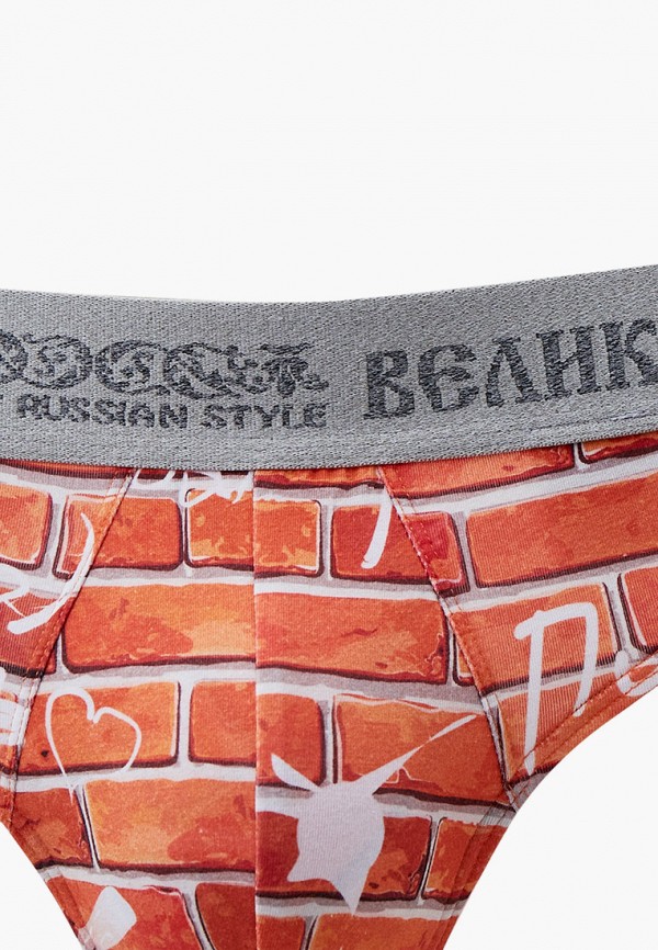 Великоросс Трусы - фото 2