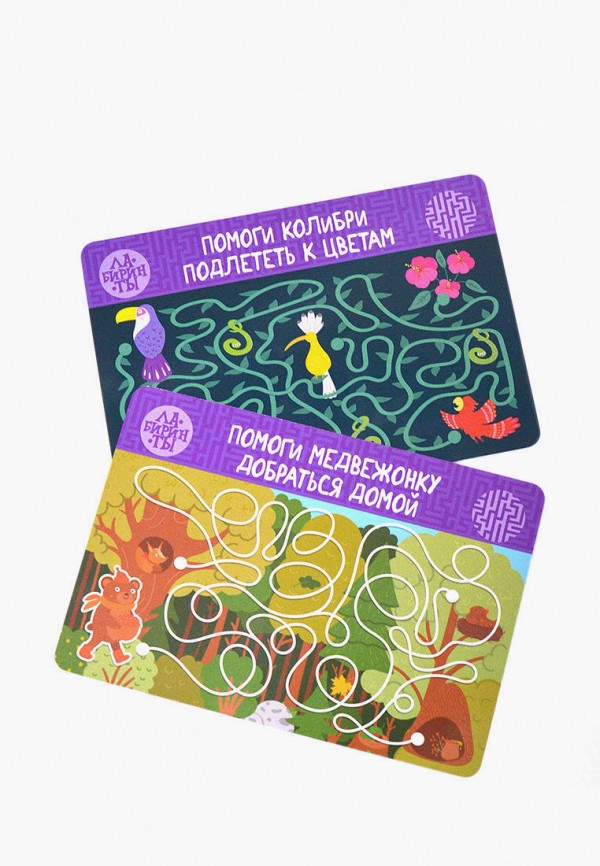 Дрофа-Медиа Игра настольная - IQ Box. Развивающие карточки. Лабиринты. Обводилки - фото 3