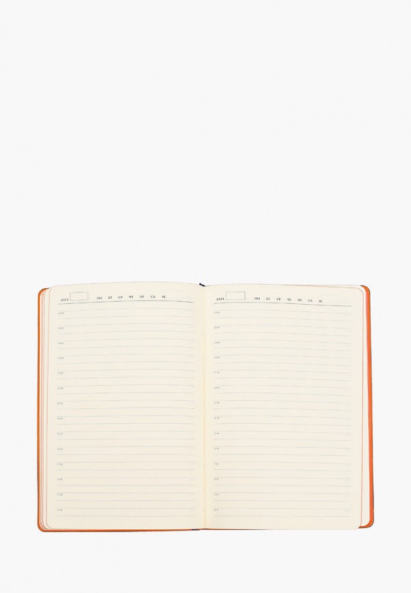 БФ Рэй Ежедневник - фото 3