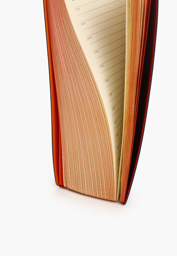 БФ Рэй Ежедневник - фото 5