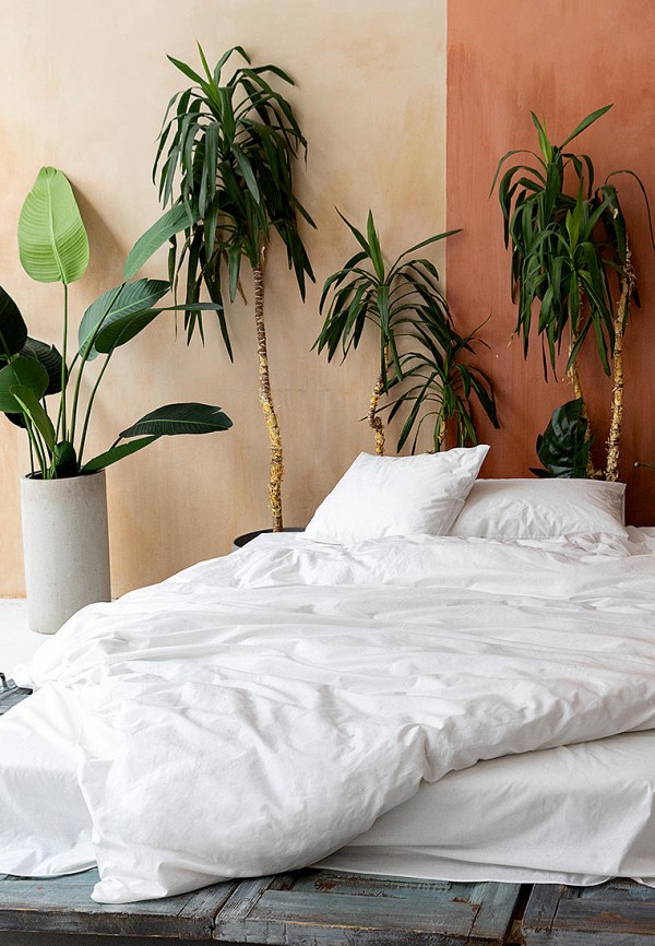 Унисон Постельное белье Евро - 70х70 White Virgine - фото 3