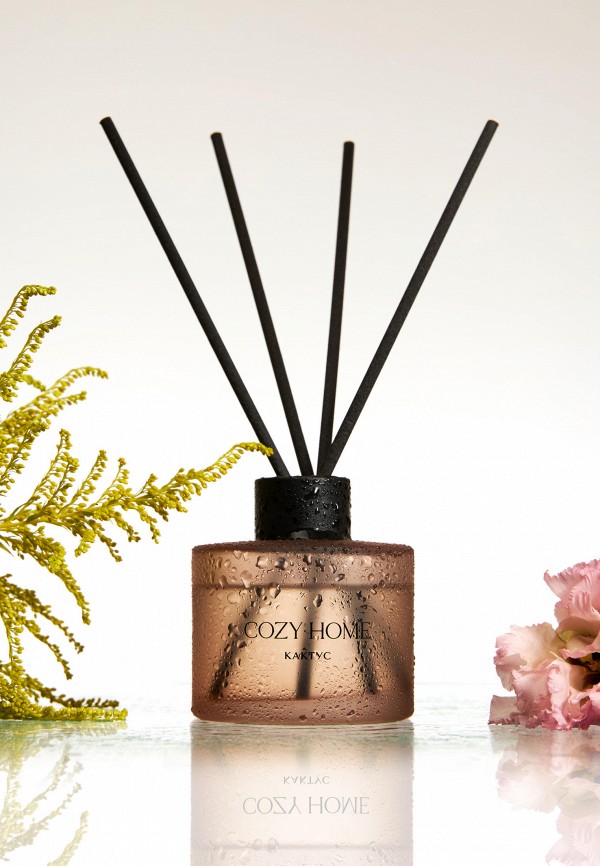 Аромадиффузор Cozy Home Cactus, 100 мл, цвет: коричневый