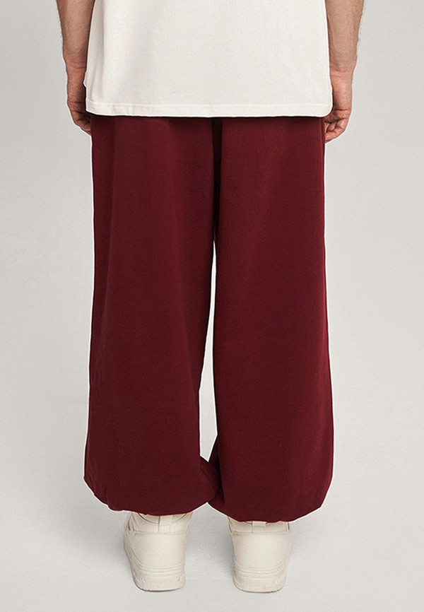 The Orlines Брюки спортивные - Burgundy - фото 2