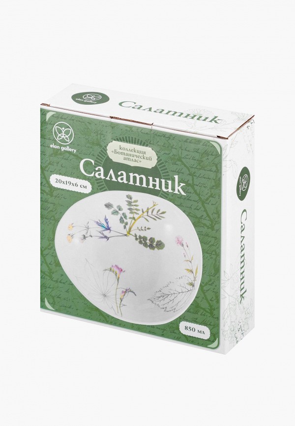 Elan Gallery Салатник - 850 мл 20х17,5х6 см Ботанический атлас - фото 6