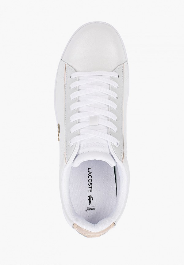 Lacoste CARNABY EVO 118 6 SPW MP002XW02DXK