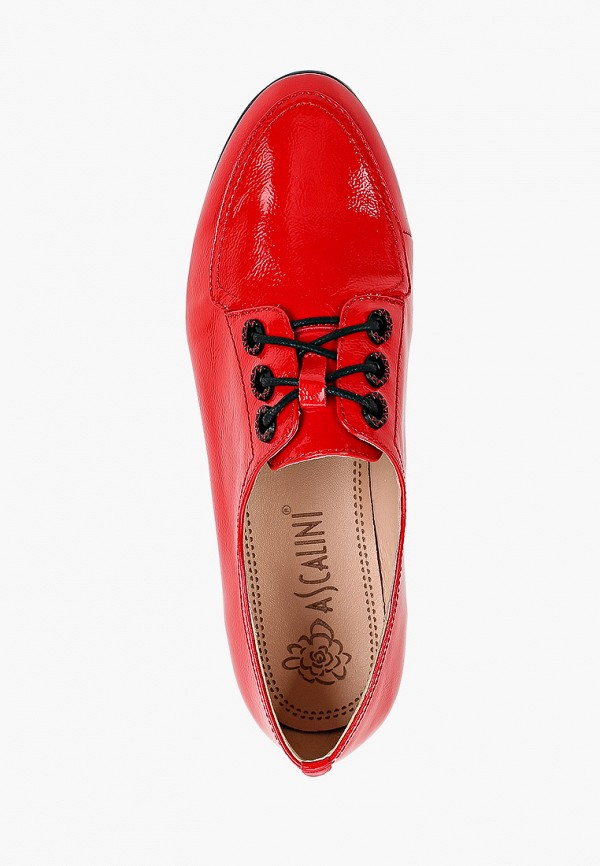 Ascalini Ботинки - фото 4