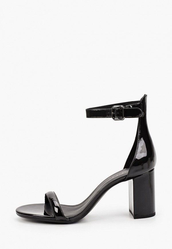 ecco elevate