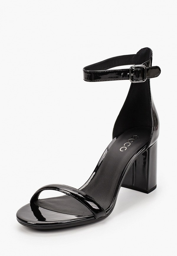 ecco elevate