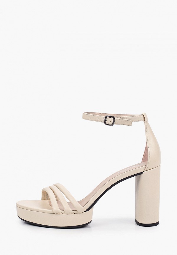 ecco elevate
