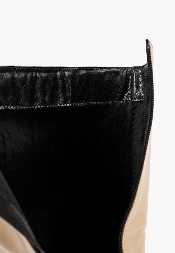 Ascalini Сапоги - с увеличенной полнотой - фото 6