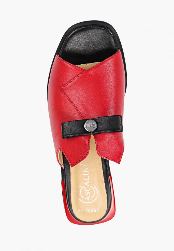 Ascalini Сабо - фото 4