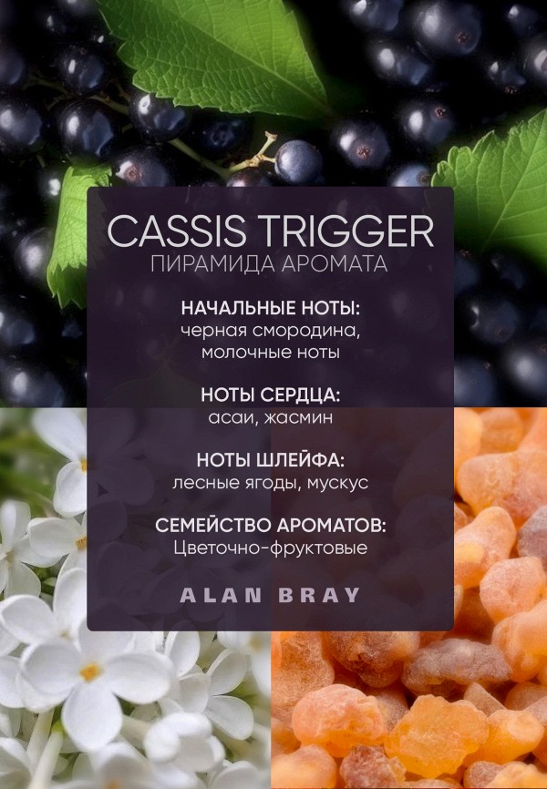 Alan Bray Духи - фото 4