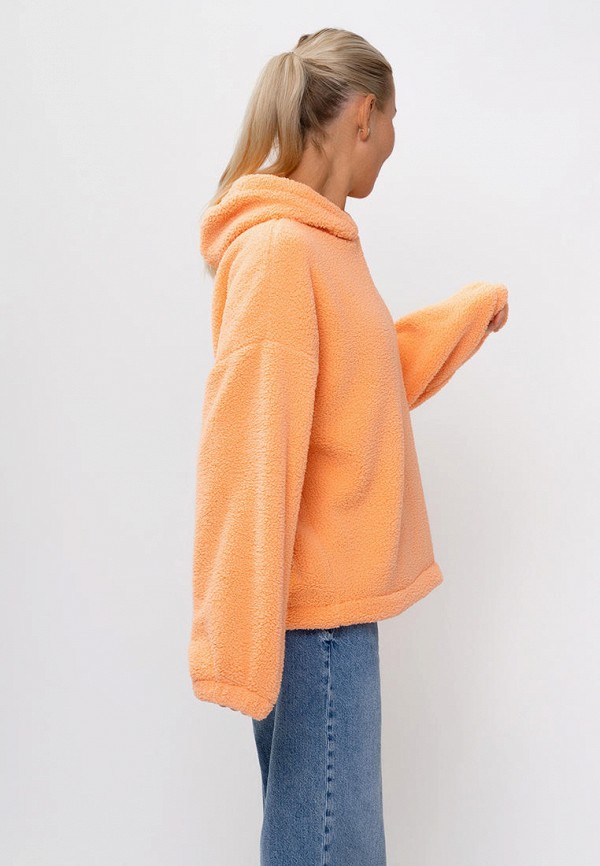 Ptaxx Худи - фото 6