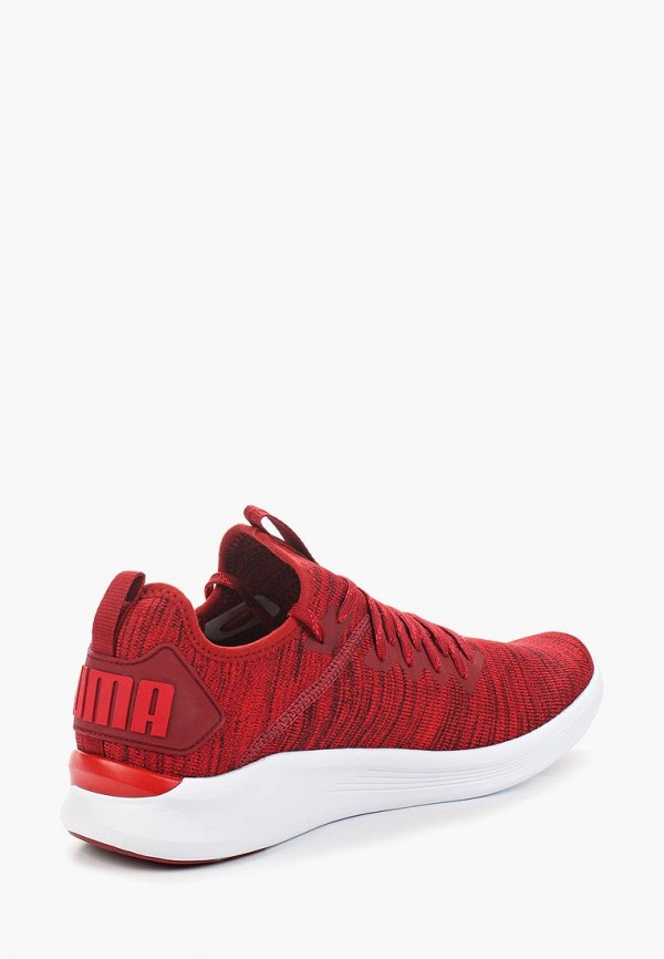 Puma ignite flash evoknit red hotsell