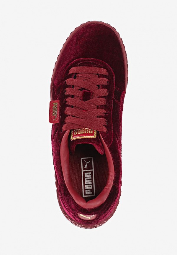 Cali velvet hotsell