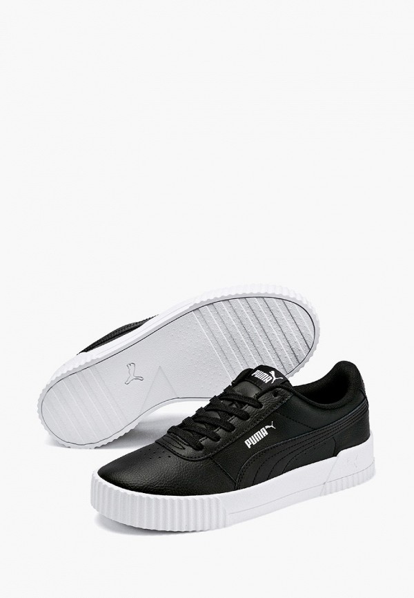 puma carina l
